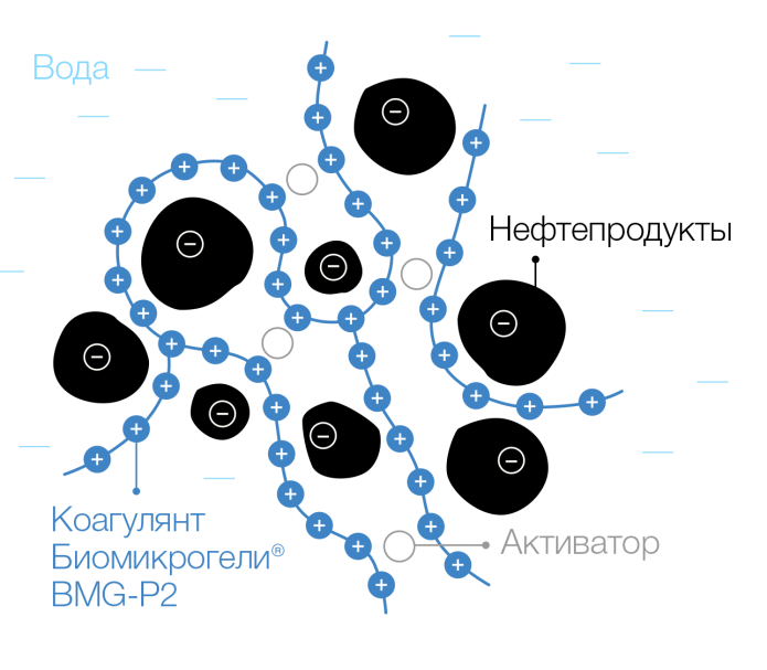 Биомикрогели® BMG-P2