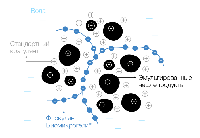 Биомикрогели® BMG-C2